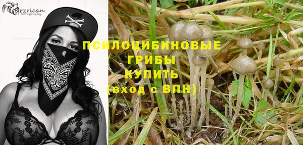 дурь Абдулино