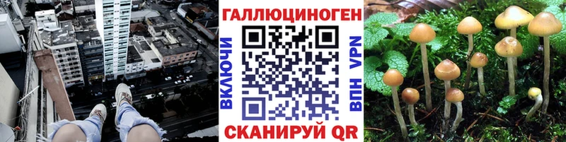 где купить наркоту  Норильск  OMG как зайти  Галлюциногенные грибы ЛСД 