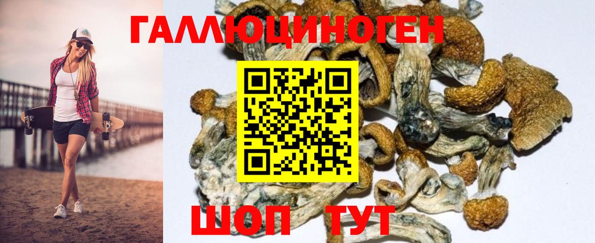 Псилоцибиновые грибы MAGIC MUSHROOMS  Вход с VPN  Норильск 